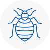 Bed Bug Extermination In Willenhall