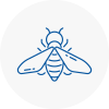 Bee Nest Removal Willenhall