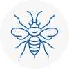 Willenhall Hornet Nest Removals