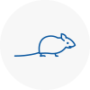 Mice Exterminators In Willenhall