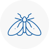 Moth Control Specialists In Willenhall